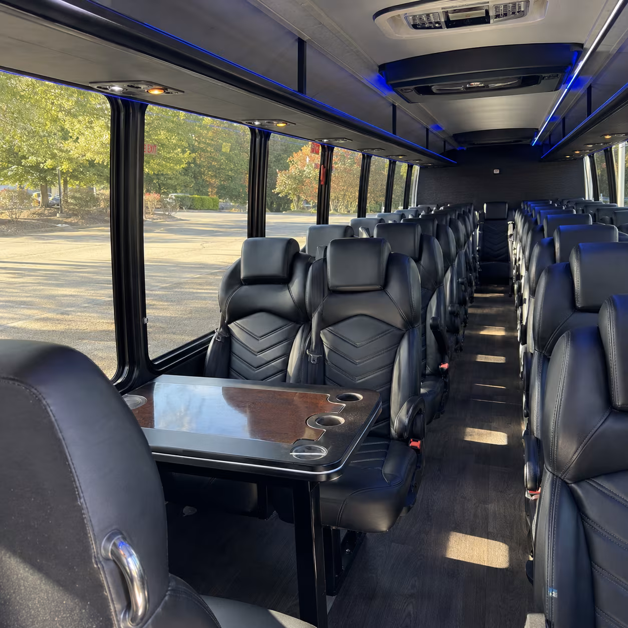 Alexandria Airport Shuttle & Transportation party bus interior