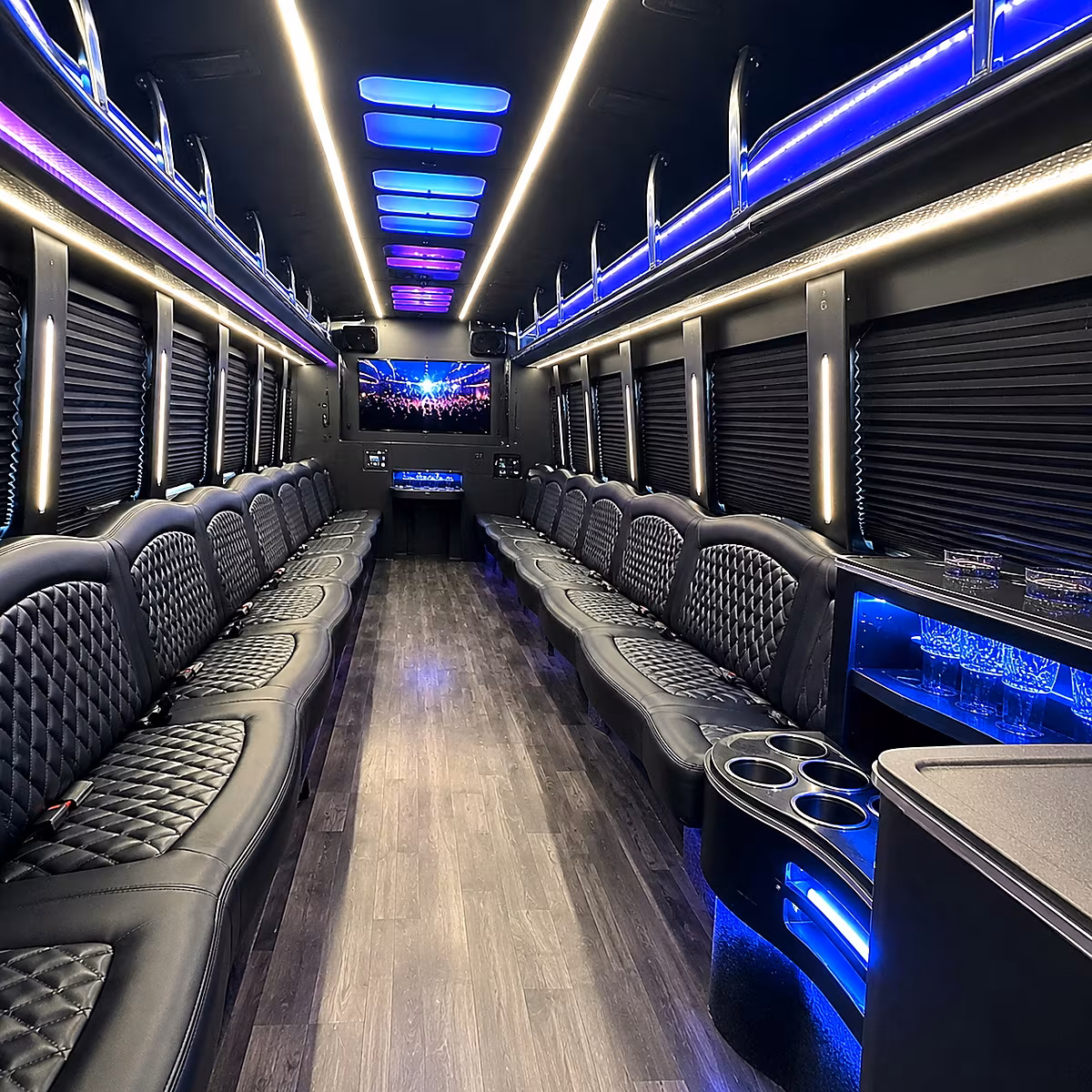 Alexandria alexandria birthday party bus rental party bus interior
