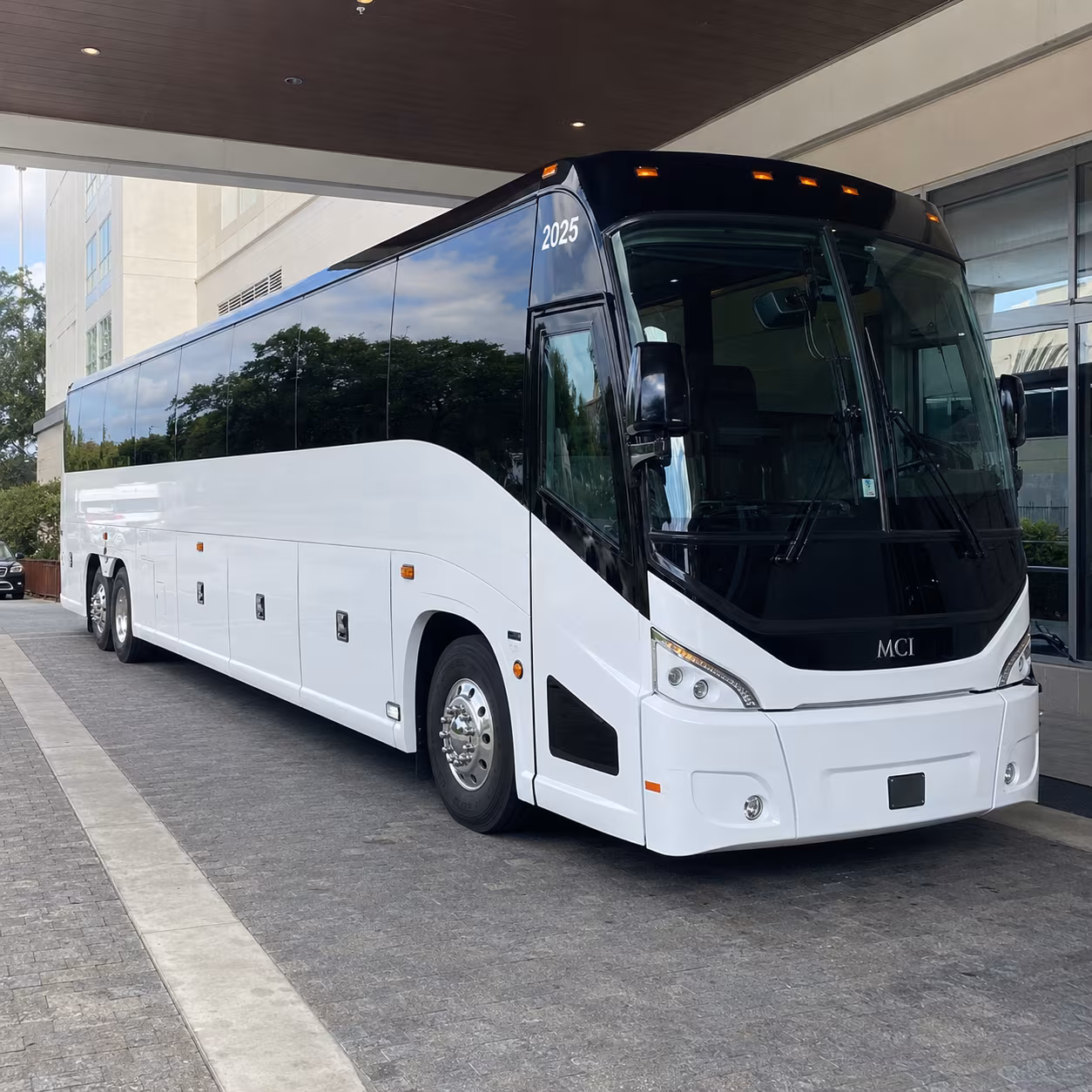 Alexandria alexandria school event bus rental party bus exterior