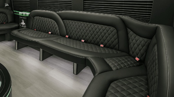 Interior of Alexandria Party Bus Company's 14 Passenger Sprinter Limousine in Alexandria