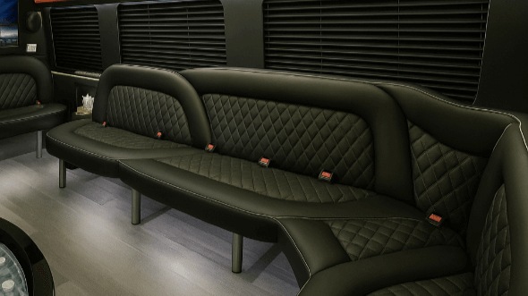 alexandria 14 passenger sprinter limousine rental