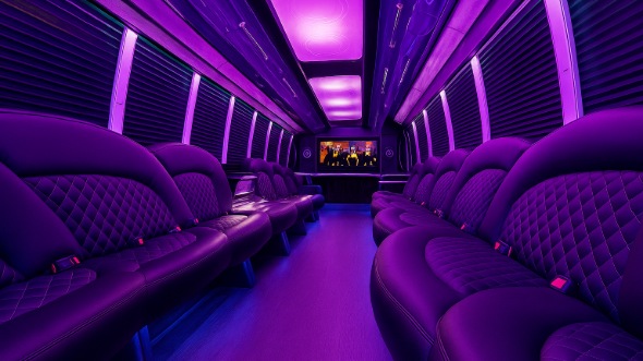 alexandria 28 passenger party bus rental